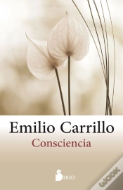 Capa do artigo Consciencia