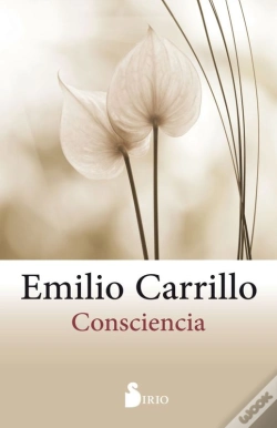 Capa do artigo Consciencia