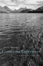 Conscious Experience - Preview