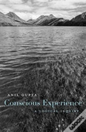 Capa do artigo Conscious Experience