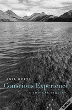 Capa do artigo Conscious Experience