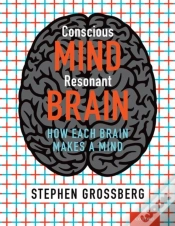 Capa do artigo Conscious Mind, Resonant Brain