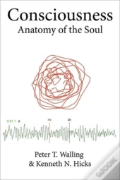 Consciousness: Anatomy Of The Soul