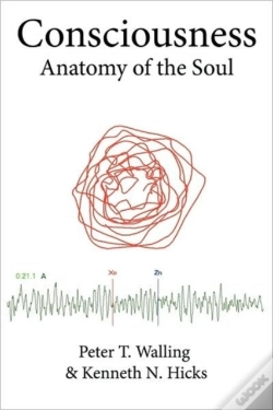 Capa do artigo Consciousness: Anatomy Of The Soul