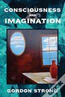 Consciousness And Imagination