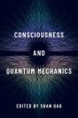 Consciousness And Quantum Mechanics - Preview