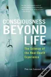 Capa do artigo Consciousness Beyond Life