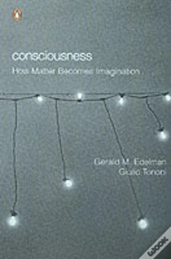 Capa do artigo Consciousness
