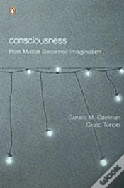 Capa do artigo Consciousness