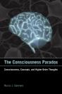 Consciousness Paradox - Preview