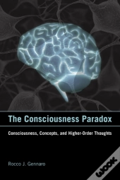 Consciousness Paradox