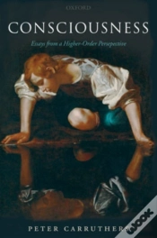 Capa do artigo Consciousness