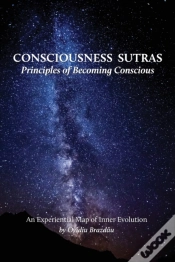 Capa do artigo Consciousness Sutras