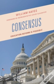 Capa do artigo Consensus