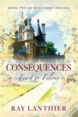 Capa do artigo Consequences