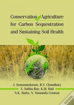 Capa do artigo Conservation Agriculture For Carbon Sequestration And Sustaining Soil Health