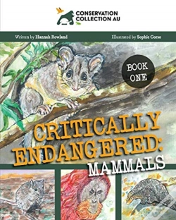 Capa do artigo Conservation Collection Au - Critically
