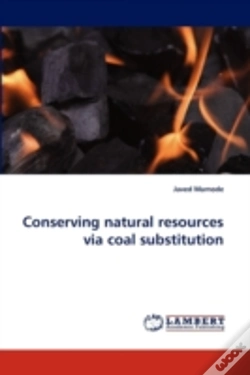 Capa do artigo Conserving Natural Resources Via Coal Substitution