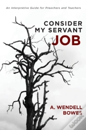 Capa do artigo Consider My Servant Job