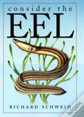 Consider The Eel