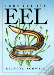Capa do artigo Consider The Eel