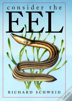 Capa do artigo Consider The Eel
