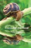Consider The Snail