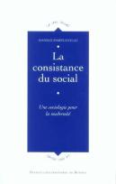 Consistance Du Social