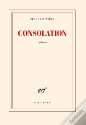 Capa do artigo Consolation