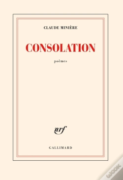 Capa do artigo Consolation