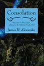 Consolation - Preview