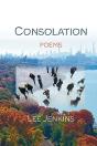 Consolation  Poems - Preview
