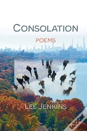 Consolation  Poems