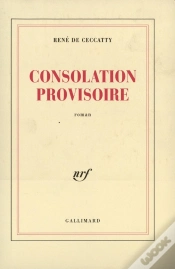 Capa do artigo Consolation Provisoire