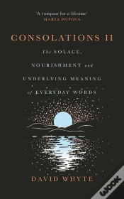 Capa do artigo Consolations Ii