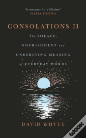 Capa do artigo Consolations Ii