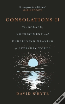 Capa do artigo Consolations Ii
