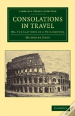 Capa do artigo Consolations In Travel
