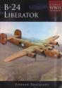 Consolidated B-24 Liberator - Preview