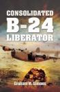 Consolidated B-24 Liberator - Preview