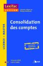 Consolidation Des Comptes ; En Fiches Pratiques - Preview