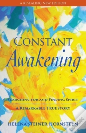 Capa do artigo Constant Awakening