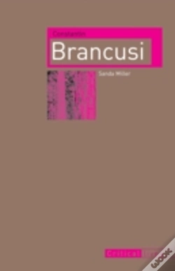 Capa do artigo Constantin Brancusi