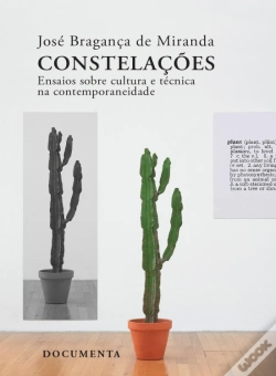 Capa do artigo Constelações