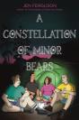 Constellation Of Minor Bears - Preview
