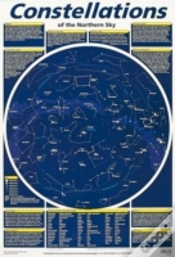 Capa do artigo Constellation
