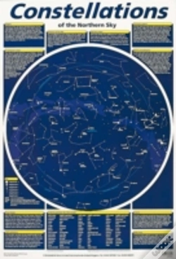 Capa do artigo Constellation