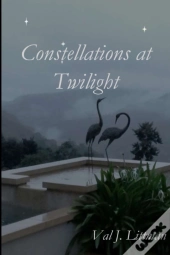 Constellations At Twilight