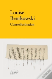 Capa do artigo Constellucination