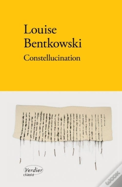 Capa do artigo Constellucination